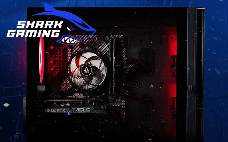 Shark Gaming Kampagne