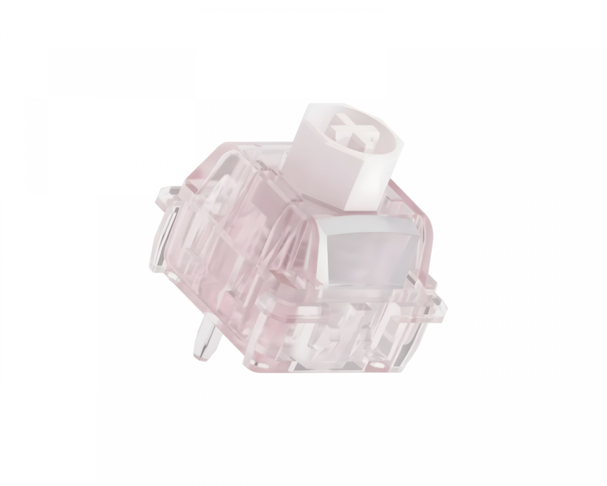39888.jpg?m=1779456505