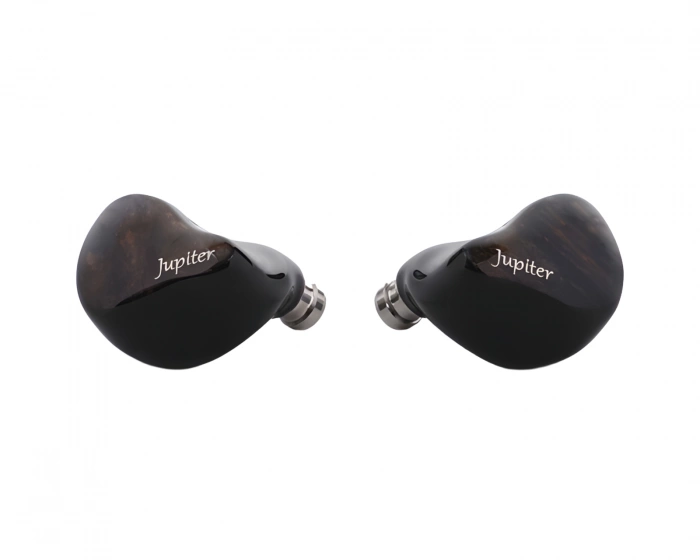 Melody Wings Jupiter 1DD IEM Kopfhörer – Schwarz