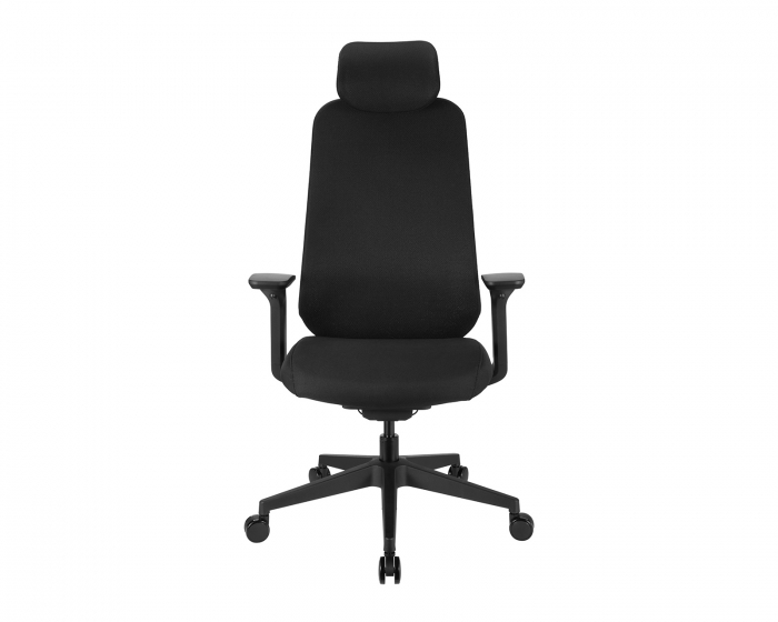 MaxMount Void Ergonomischer Bürostuhl - Schwarz