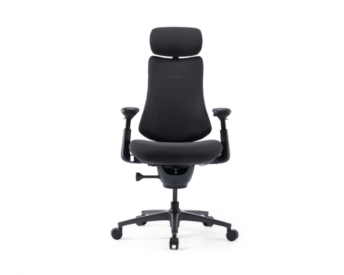Libernovo Omni Pro Dynamic Ergonomic Chair - Graphitgrau