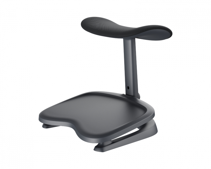 Libernovo Ergonomische Doppelstock-Fußstütze (für Omni Pro) - Graphit