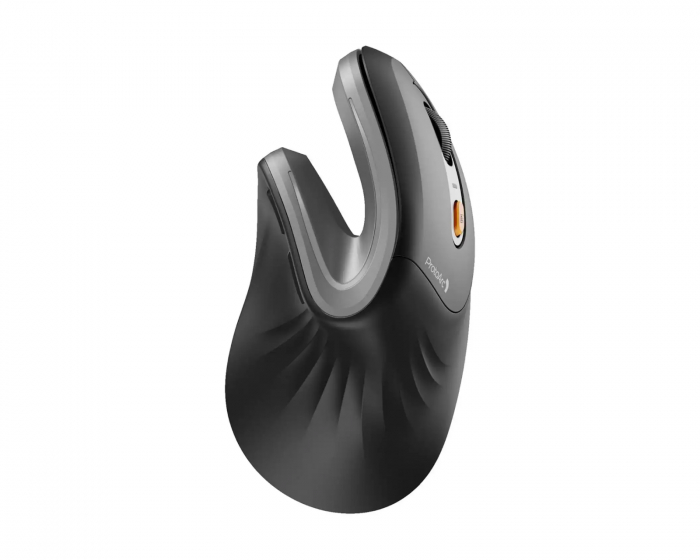 ProtoArc EM11 NL Ergonomische Vertikalmaus - Grau