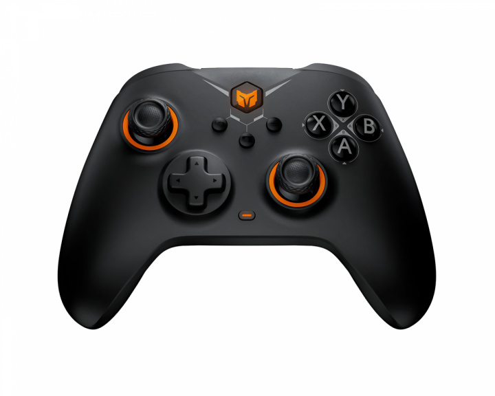 BIGBIG WON GALE Wireless Controller - Schwarz