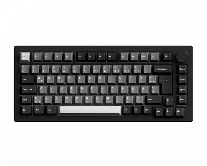  M1 V5 VIA Kabellose Tastatur - Black & Silver [Akko Rosenholz]