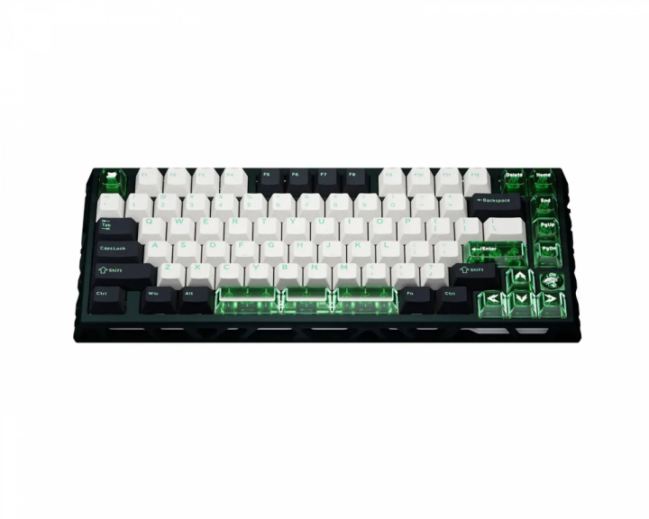  x Sikakeyb FORT 75 Limited Edition Magnetische Tastatur - Grün