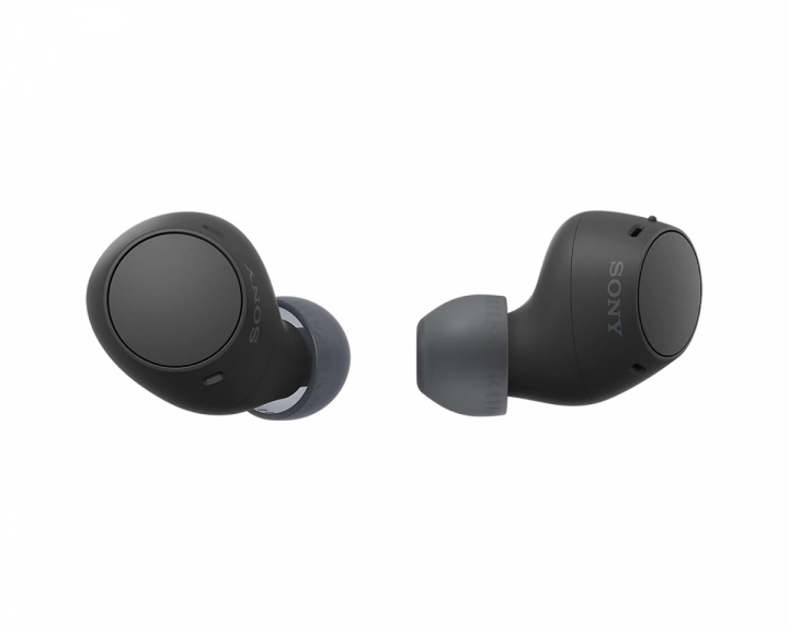  WF-C510 Kabellose In-Ear-Kopfhörer - Schwarz