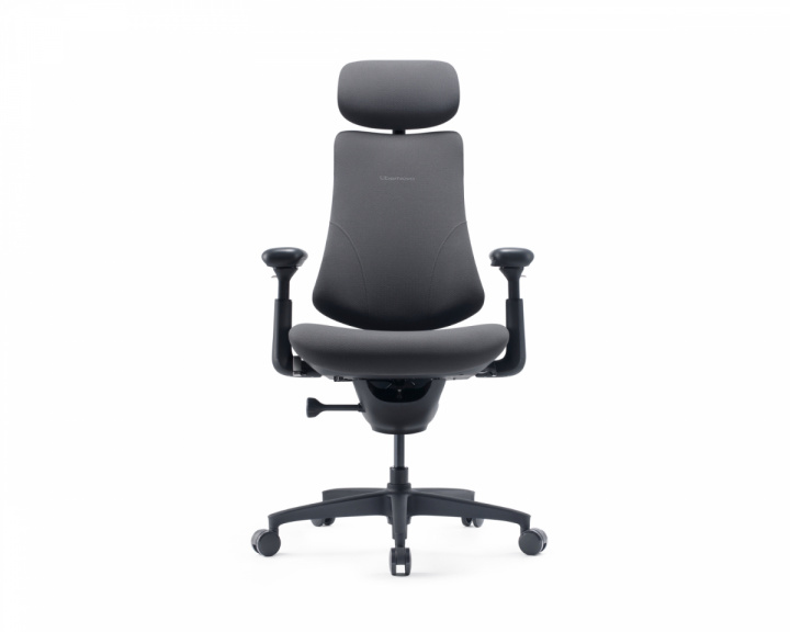  Omni Gen Dynamic Ergonomic Chair - Graphitgrau