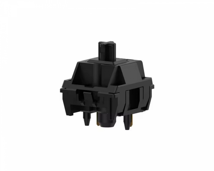  PT Black