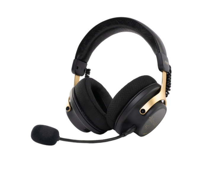  Gm01 Pro Wireless Gaming Headset - Schwarz