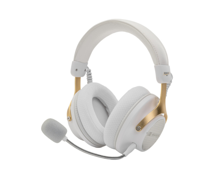  Gm01 Pro Wireless Gaming Headset - Weiß