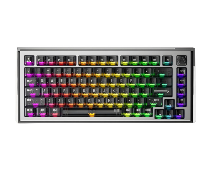  A75Ultra - 75% Magnetische ANSI-Tastatur [QIAN] - Silver Black