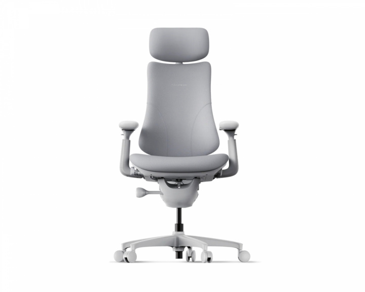 Libernovo Omni Dynamischer Ergonomischer Stuhl – Space Grey (DEMO)
