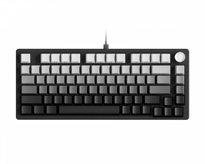 EWEADN DK75 ANSI Gaming-Tastatur - Gradient Black (DEMO)