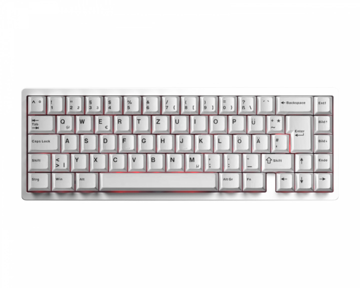  Max65 Essential BoW ISO German Bundle [Milky Yellow Pro] - White