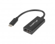 USB-C > Displayport Adapter