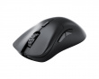 Model D 2 Pro Kabellose Gaming-Maus - Schwarz