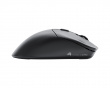 Model D 2 Pro Kabellose Gaming-Maus - Schwarz