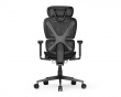 SpineX Pro Ergonomischer Bürostuhl - Schwarz