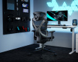 SpineX Pro Ergonomischer Bürostuhl - Schwarz