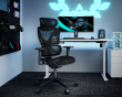 SpineX Pro Ergonomischer Bürostuhl - Schwarz