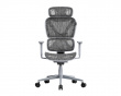 SpineX Pro Ergonomischer Bürostuhl - Grau