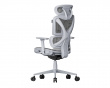 SpineX Pro Ergonomischer Bürostuhl - Grau