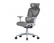 SpineX Pro Ergonomischer Bürostuhl - Grau