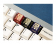 Dharma Zinc Alloy Artisan Keycap - Schwarz