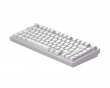 ALU81 Gaming Tastatur RGB - Terra Nova [g3ms Moonstone] - Weiß