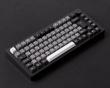 M1 V5 VIA Kabellose Tastatur - Black & Silver [Akko Rosenholz]
