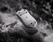 Cyclone Pro - Universal Mouse Skates - Dots 40 Stück