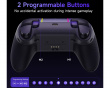X05 Pro Drahtloser Controller PC/Switch - Aurora Purple