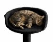 Tischmontiertes Katzenbett  Groß - Schwarz