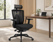 Ergonomische Lendenstütze - Schwarz