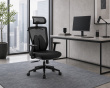 Ergonomische Lendenstütze - Schwarz