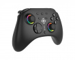 Drahtloser Switch 2 Controller mit C-Taste - Schwarz