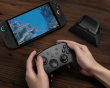 Luminex Pro Kabelloser Controller mit Ladestation - Dave Edition