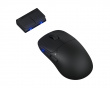 TenZ Medium Signature Edition 2.0 Gaming-Maus - Schwarz