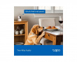 Tapo C250 Pan/Tilt AI WLAN-Heimsicherheitskamera