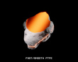 Origin Orange Universal PTFE Mouse Dots - 20 Stk.