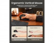 EM11 NL Ergonomische Vertikalmaus - Grau