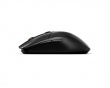 Rival 3 Kabellose RGB Gaming-Maus (DEMO)