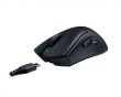DeathAdder V3 Pro + HyperPolling Wireless Dongle - Schwarz (DEMO)