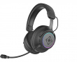 DH440 Kabelloses RGB-Gaming-Headset - Schwarz (DEMO)