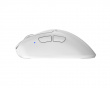 Xlite v4 Medium Kabellose Gaming-Maus - Weiß (DEMO)