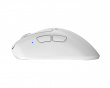 Xlite v4 Mini Kabellose Gaming-Maus - Weiß (DEMO)