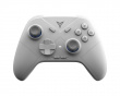 Direwolf 3 HE Wireless Controller - Grau (DEMO)