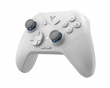 Direwolf 3 HE Wireless Controller - Grau (DEMO)