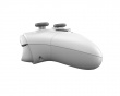 Direwolf 3 HE Wireless Controller - Grau (DEMO)